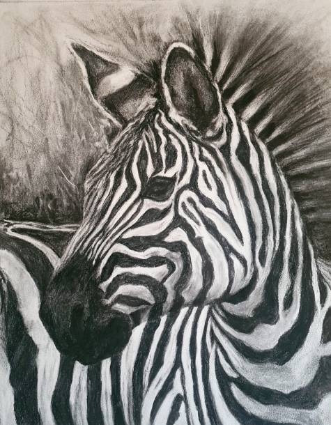 black-white or white-black, charcoal on paper