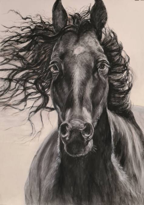 ich sehe dich, kohle auf papier, 70 x 50 cm