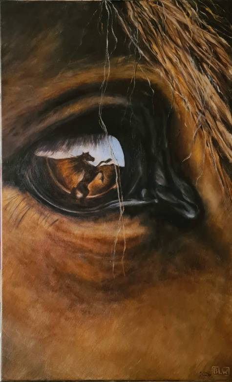 im Fokus, &ouml;l auf lw, 62 x 38 cm, 2026
